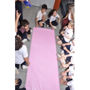 Jornada Escuela, Familias y Comunidad